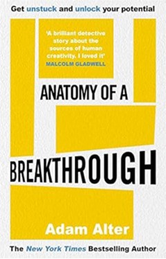 Anatomy of a Breakthrough  How to get unstuck and unlock your potential